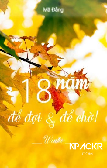 Bìa quyền Mười Tám Năm Để Đợi Và Để Chờ